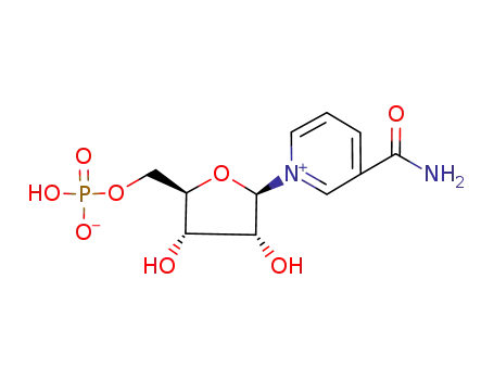 nicotinamide mononucleotide